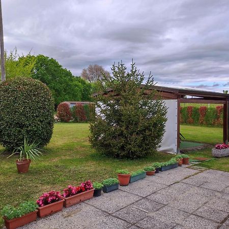 I Due Orfici Acomodação com café da manhã Cona  Exterior foto